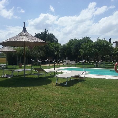 Agriturismo Dolce Verde Castiglione del Lago Dış mekan fotoğraf