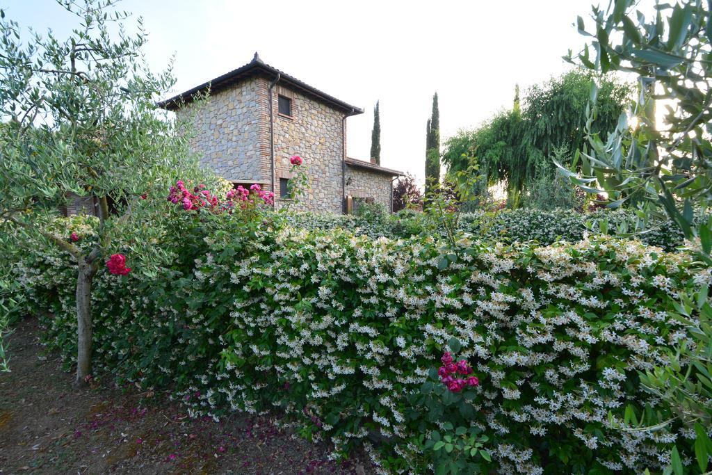 Agriturismo Dolce Verde Castiglione del Lago Dış mekan fotoğraf