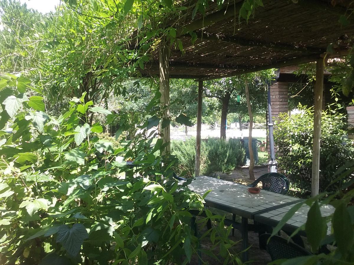 Agriturismo Dolce Verde Castiglione del Lago Dış mekan fotoğraf